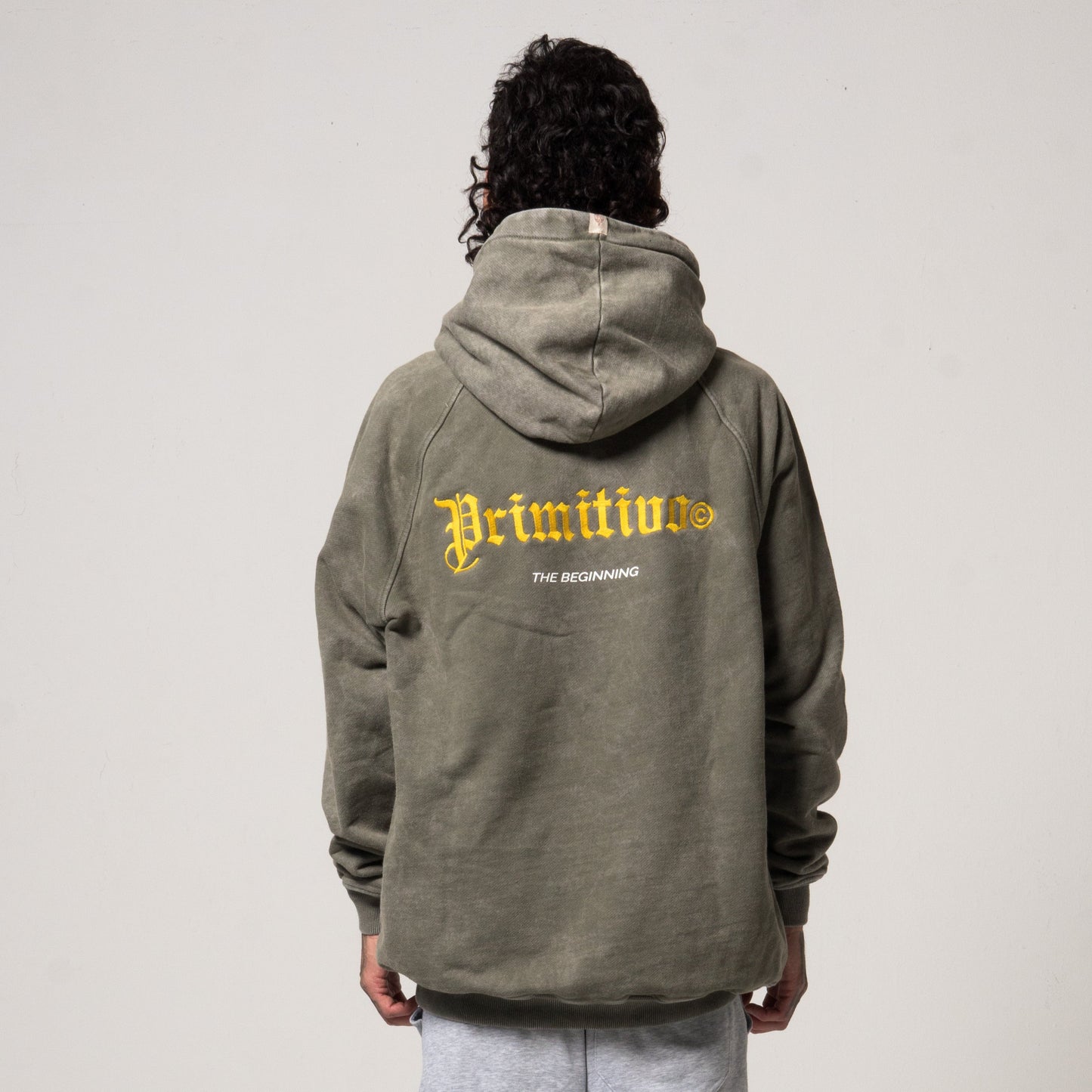 Hoodie Green "The Beginning"